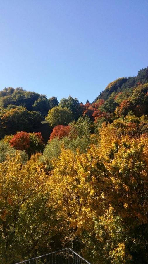 B&B Il Ghiro Roccaraso Esterno foto